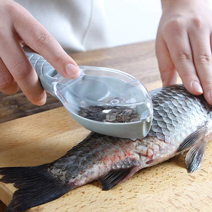 Practical Fish Scale Scraper with Cover