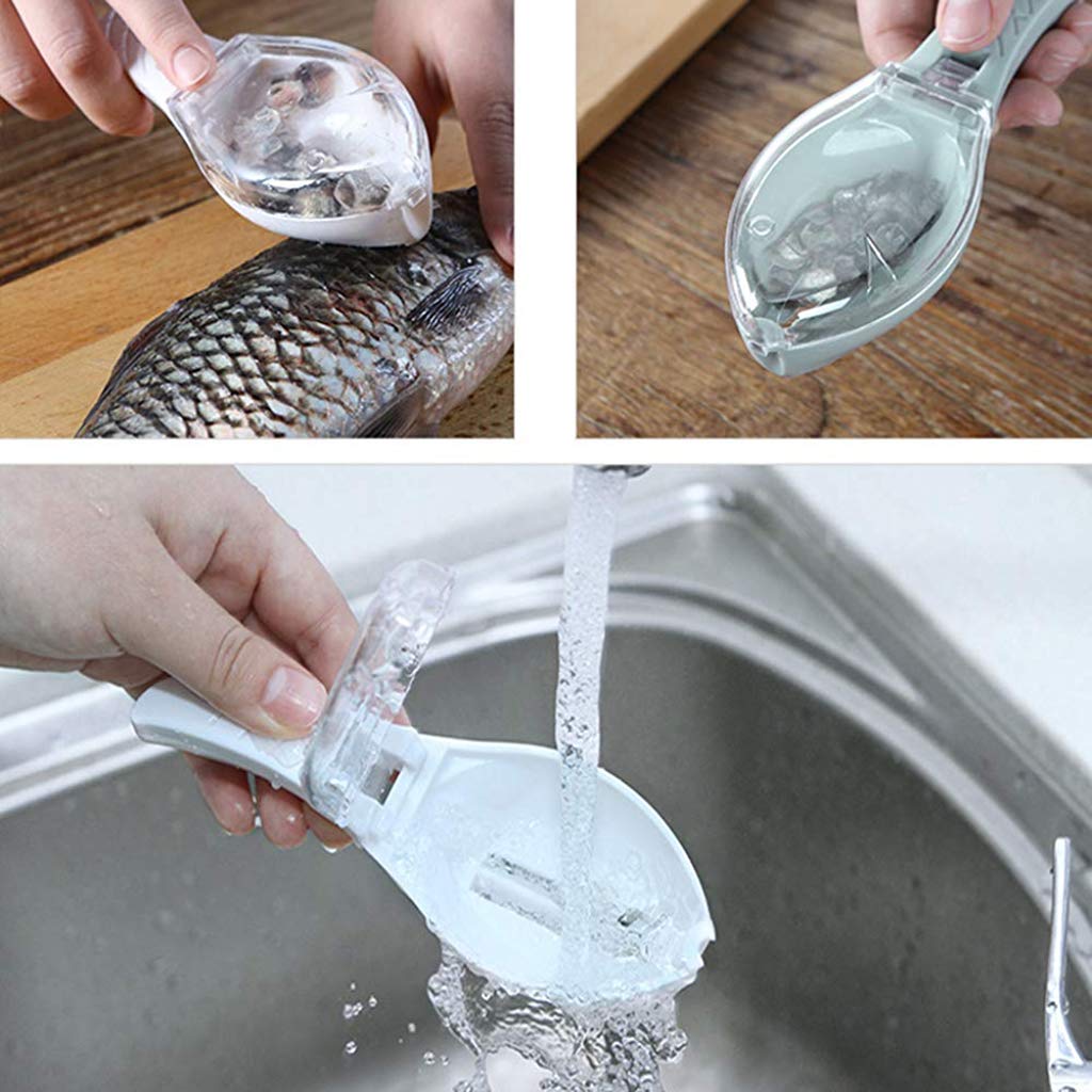 Practical Fish Scale Scraper with Cover