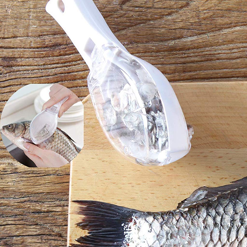 Practical Fish Scale Scraper with Cover